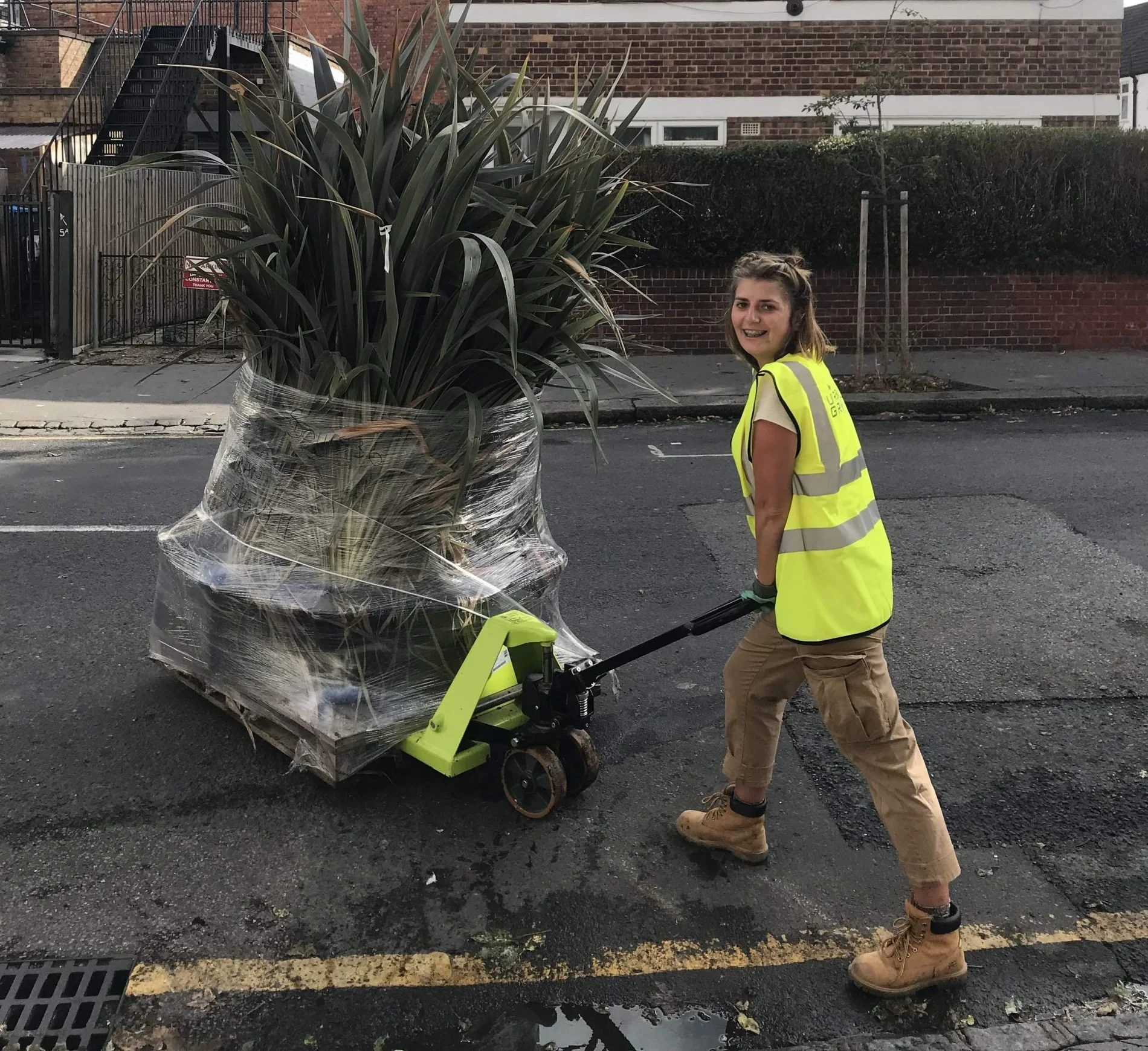 Thornton Heath With Timberland