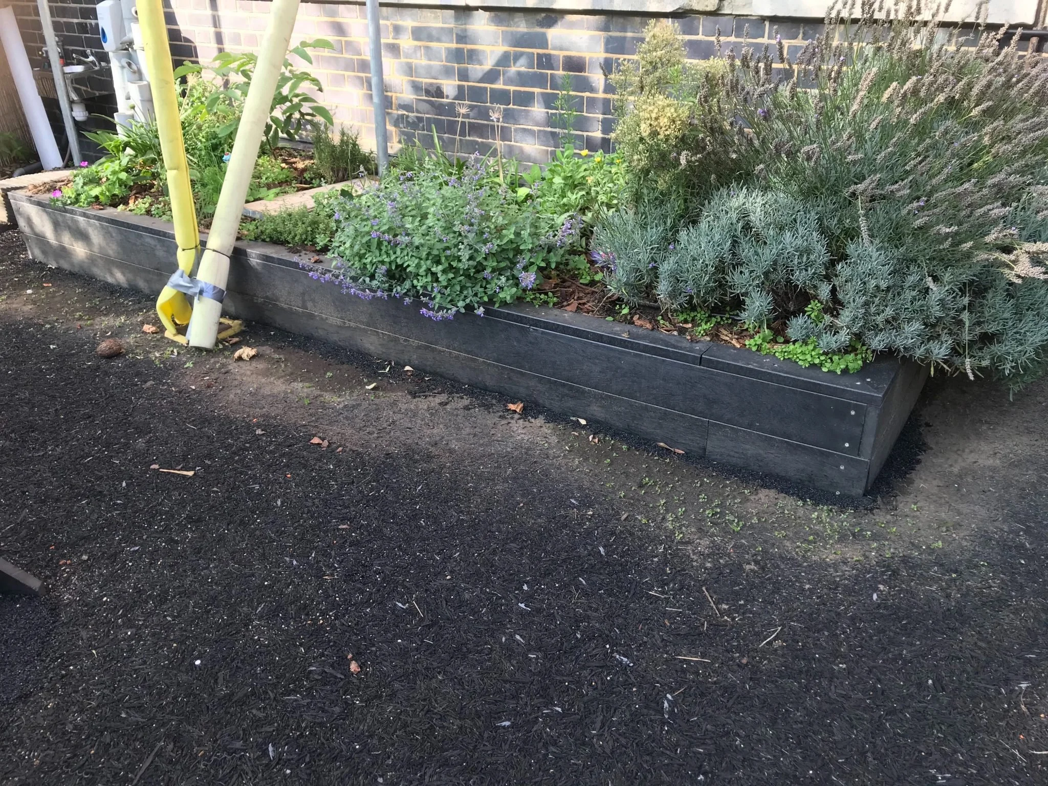 Goose Green Primary School