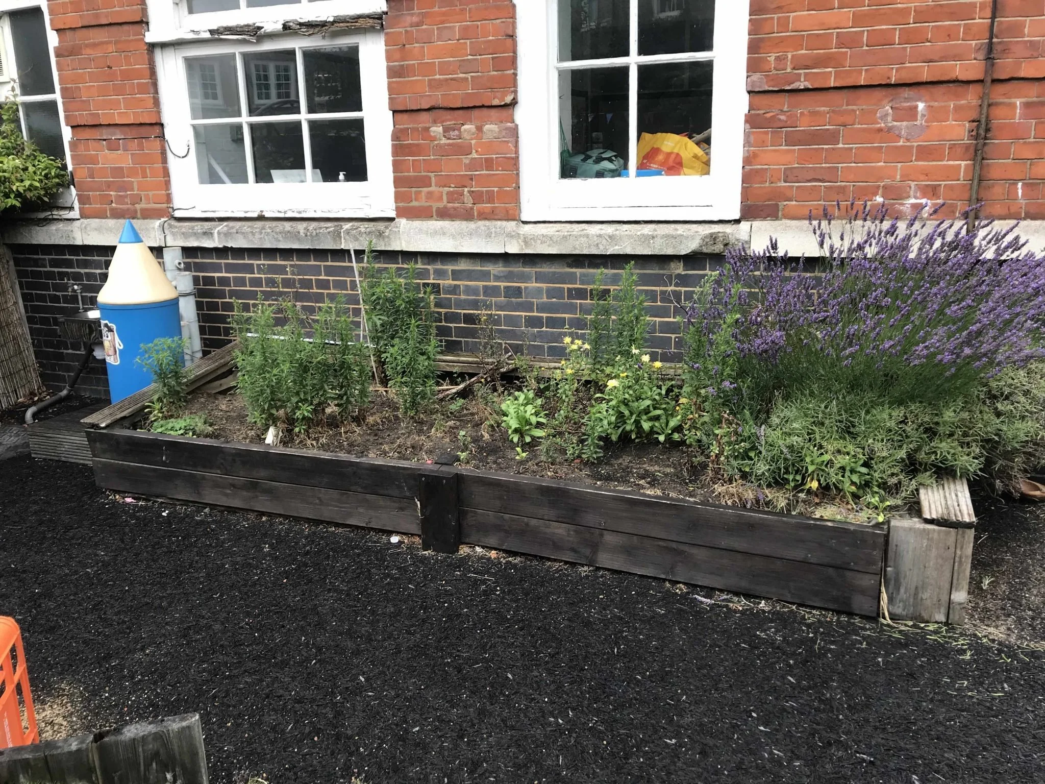 Goose Green Primary School