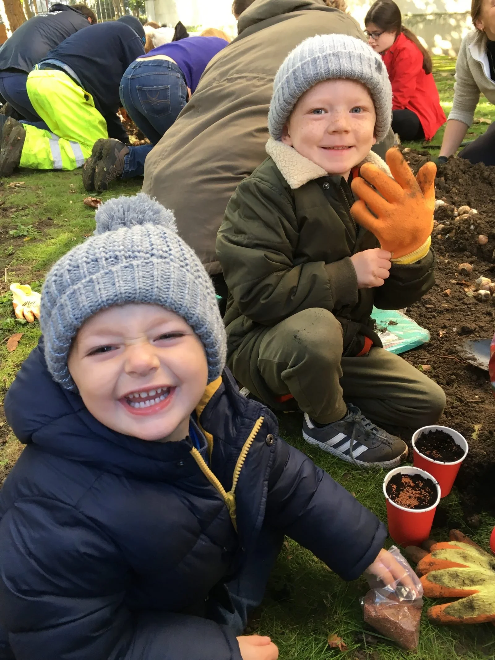 Westminster Council Bulb Planting