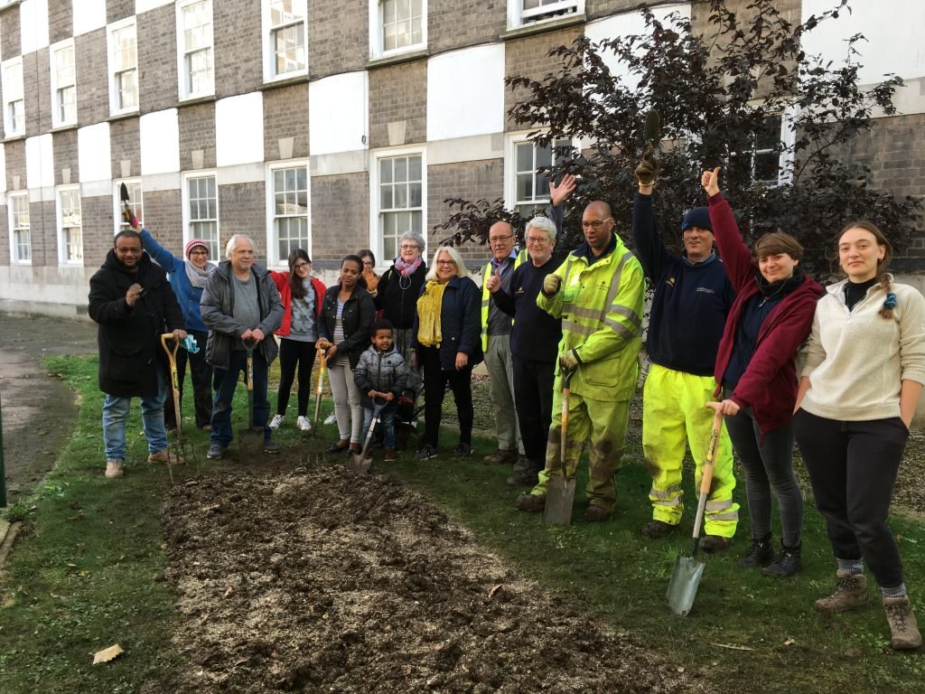 Westminster Council Bulb Planting