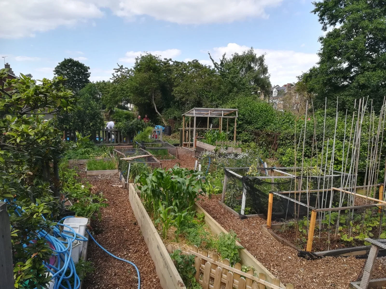 Children's Garden