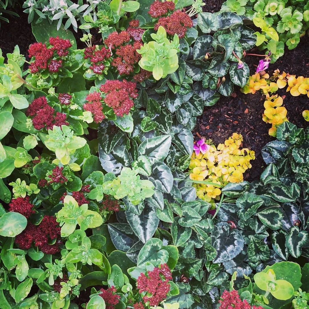 Battersea Power Station