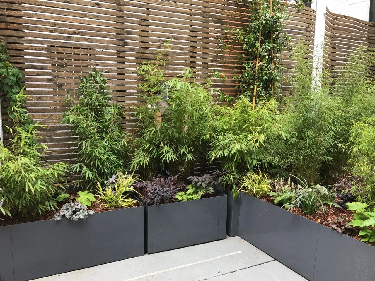 Colbourns Courtyard Urban Growth garden london
