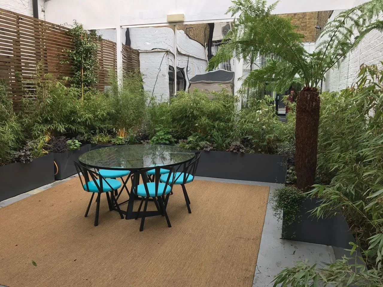 Colbourns Courtyard Urban Growth garden london