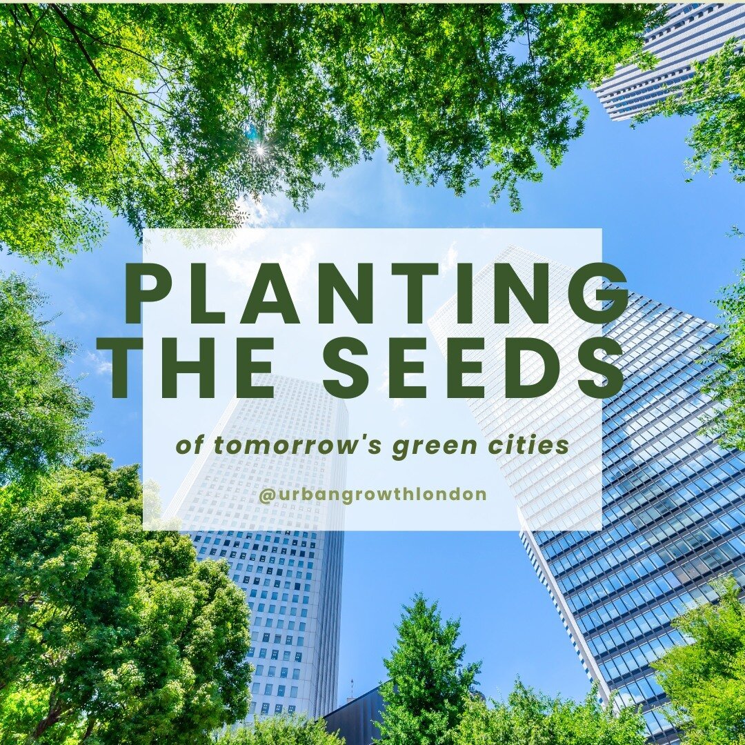 Small actions multiplied by millions create global change. 

Every window box and community plot in our urban landscape is a step towards a greener planet. 

With Urban Growth, join the movement of turning grey to green, one plant at a time. 

#EcoWa
