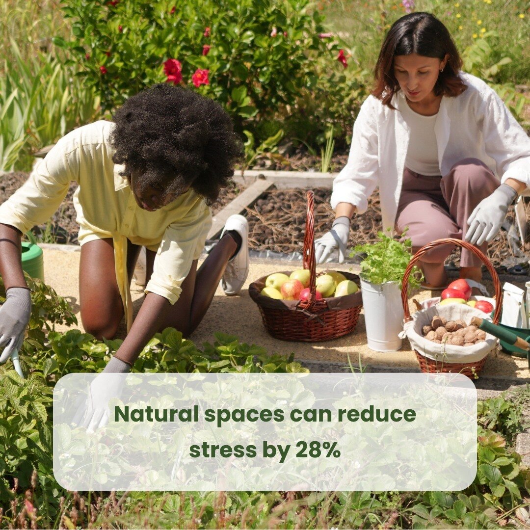 Green spaces don't just beautify - they heal. 💚 

Urban Growth's gardens foster community and improve wellbeing. 

Studies show that time in nature can decrease stress by up to 28%!

Source: @trustforpublicland

#WellbeingGardens #StressRelief #Comm