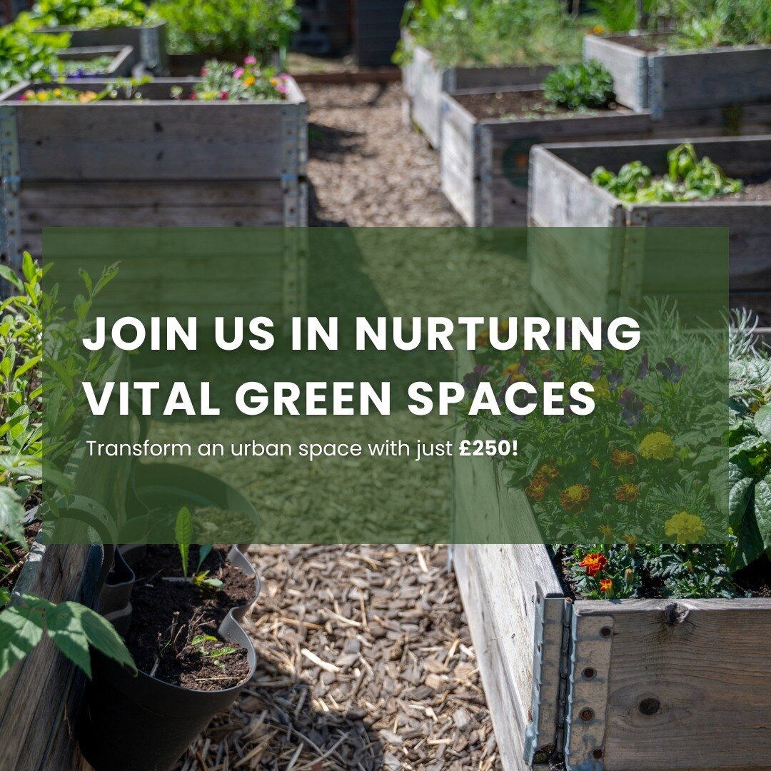 Transform an urban space with just &pound;250! Your generous donation enables Urban Growth to develop gardens in London's deprived areas, bringing together local residents to cultivate beauty and sustainability. 

Join us in nurturing these vital gre