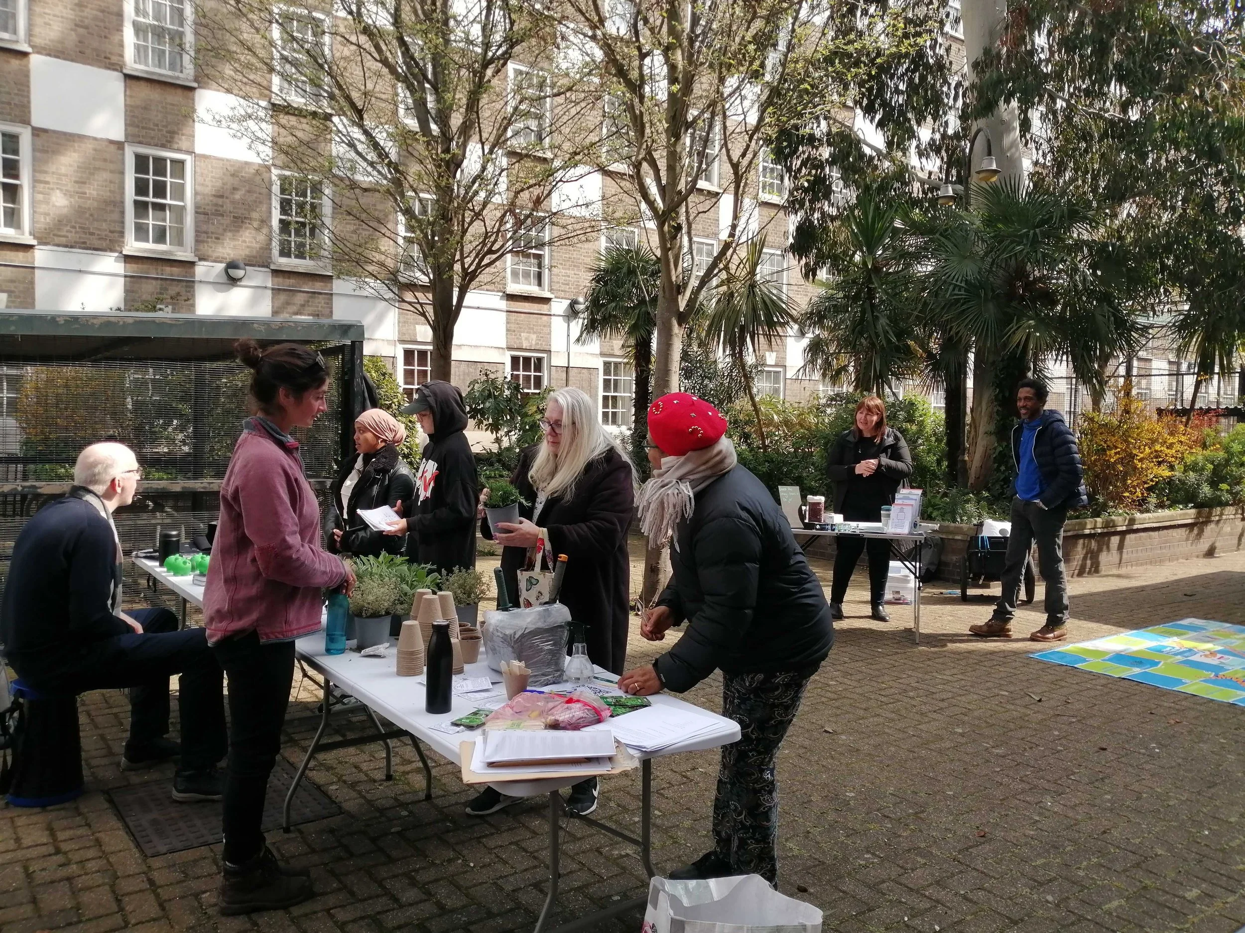Westminster City Council community gardening with Urban Growth