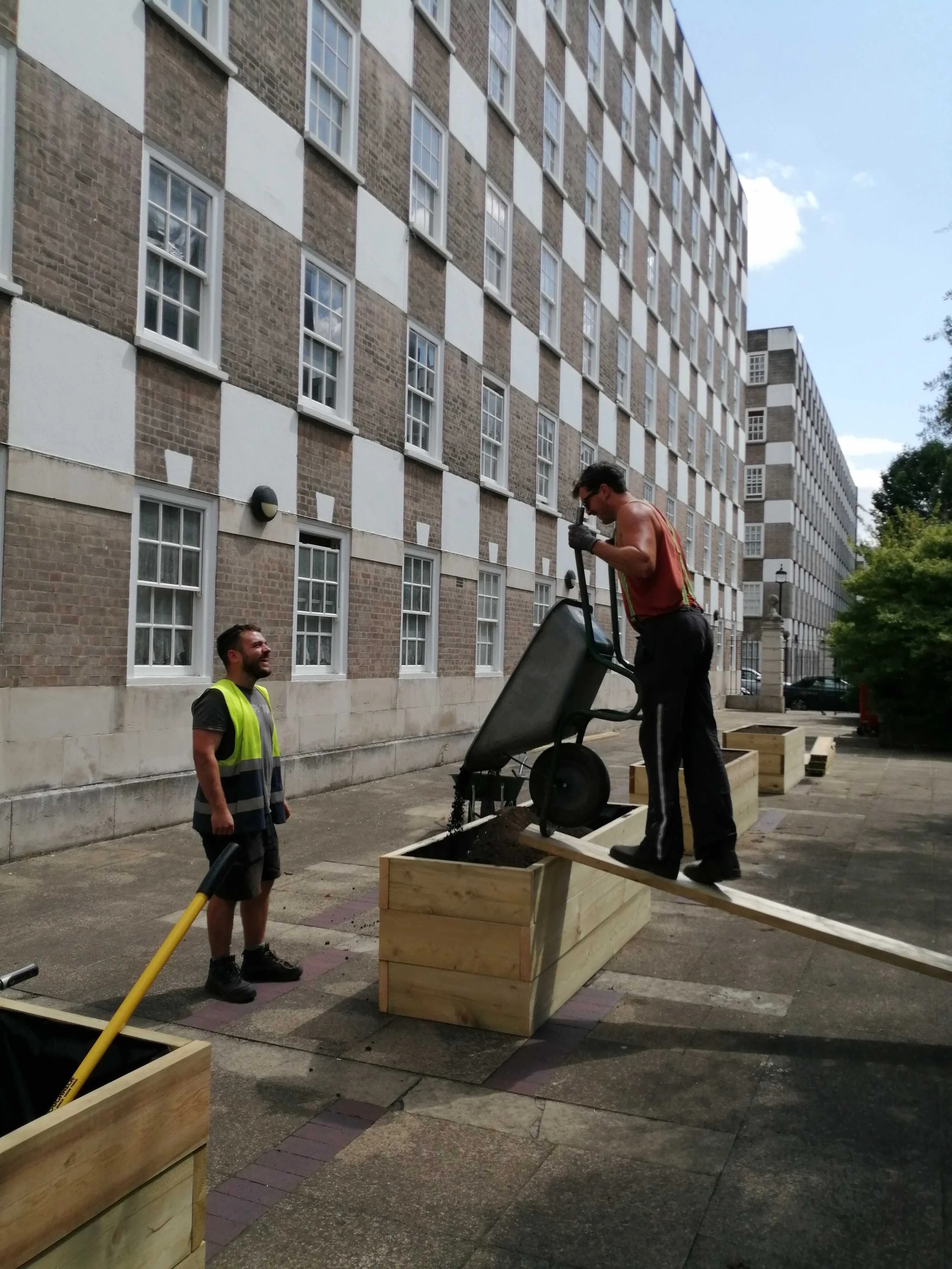 Westminster City Council community gardening with Urban Growth