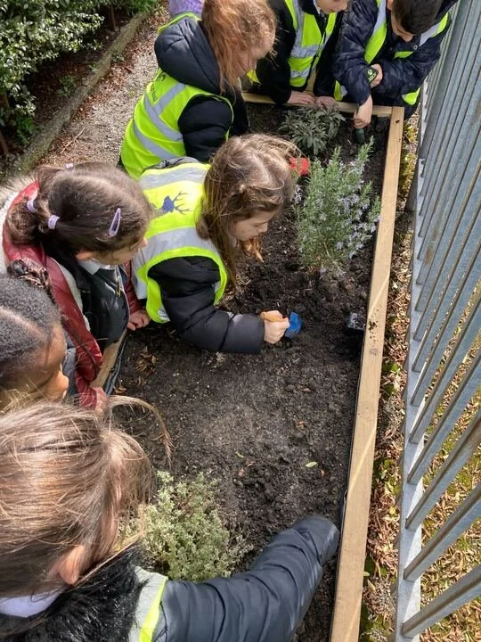 Westminster City Council community gardening with Urban Growth