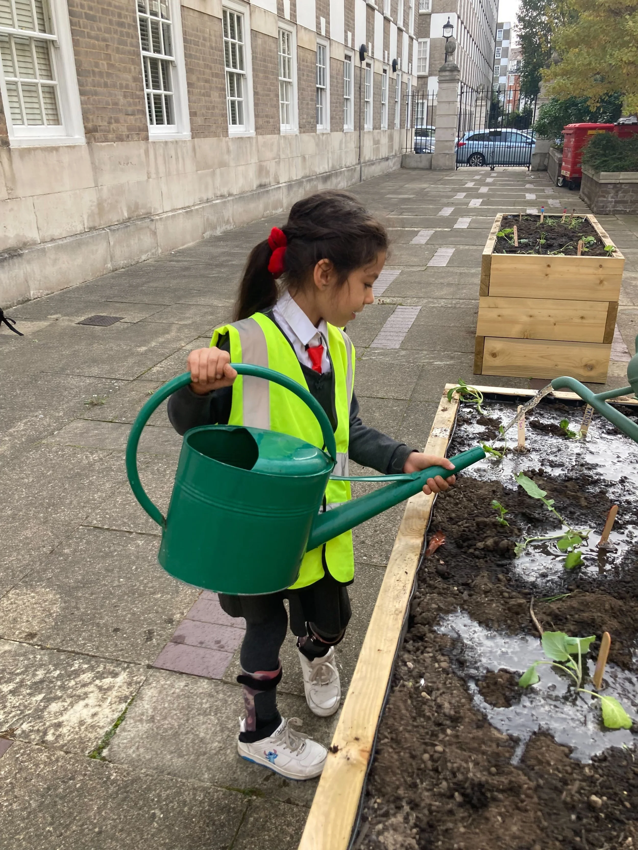 Westminster City Council community gardening with Urban Growth