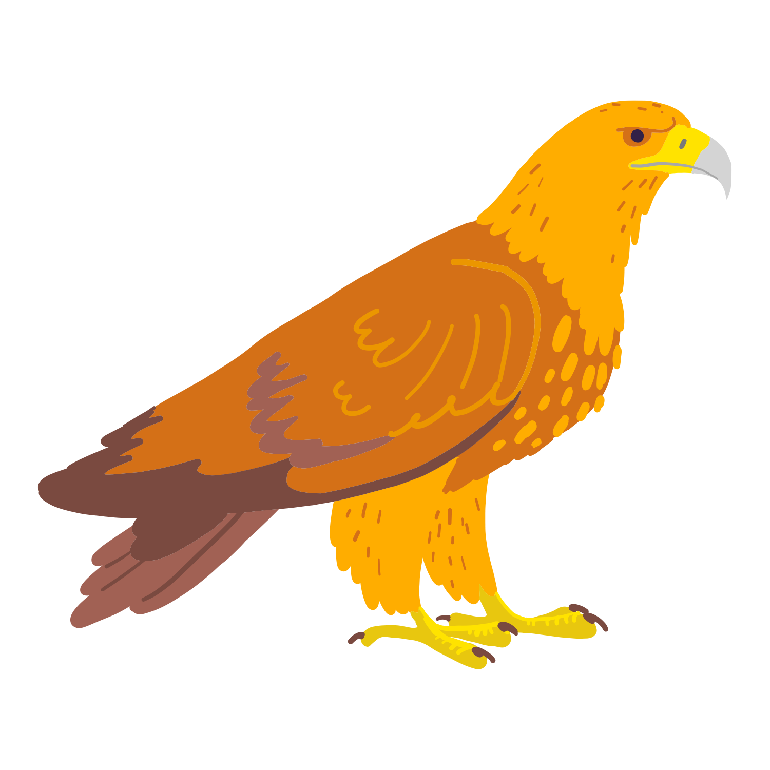 Hawk.png