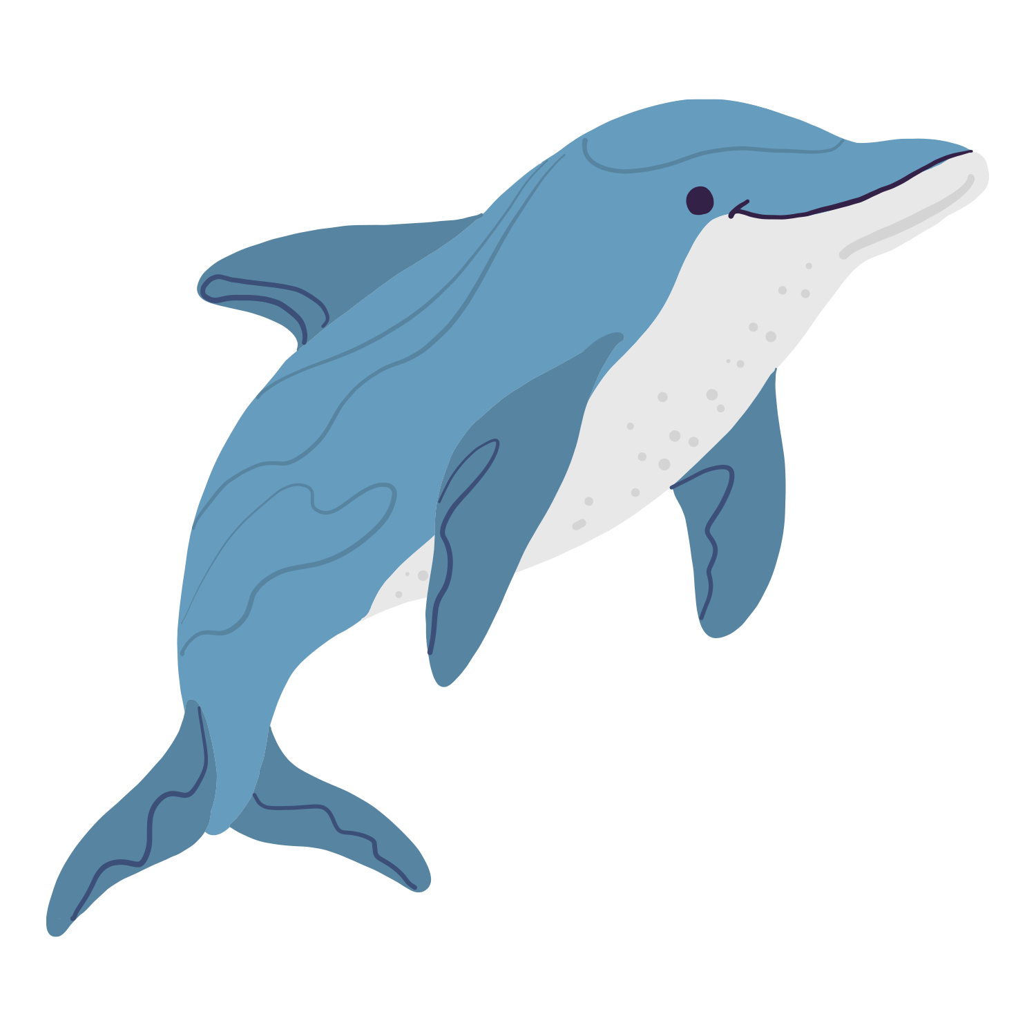 Dolphin.png