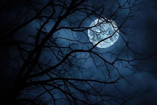 The Dark Night