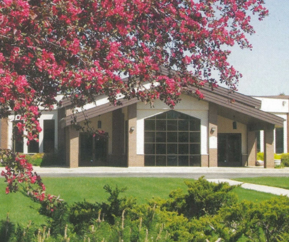 church building surrounded by pink cherry blossom trees