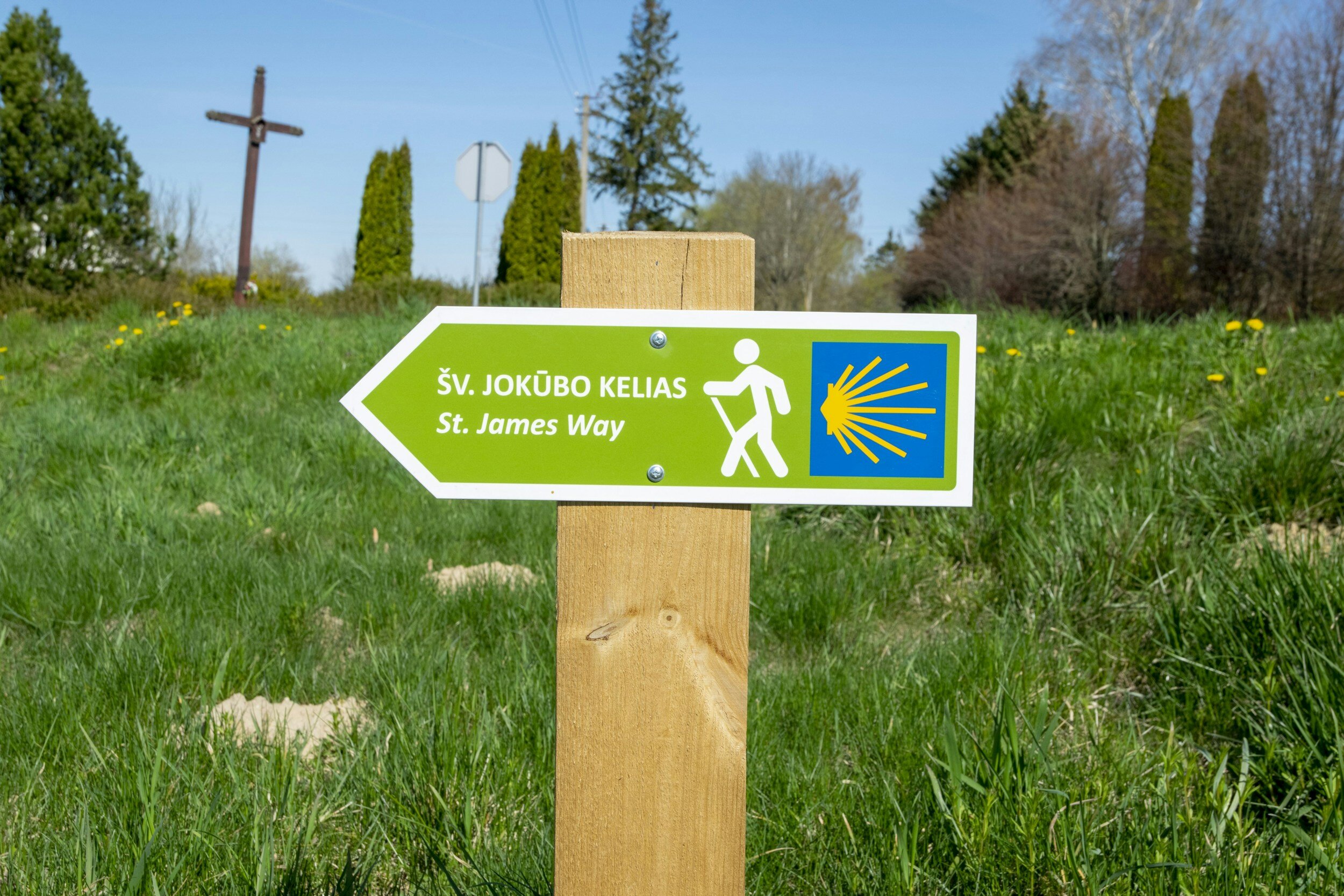 Pilgrimage Reflections