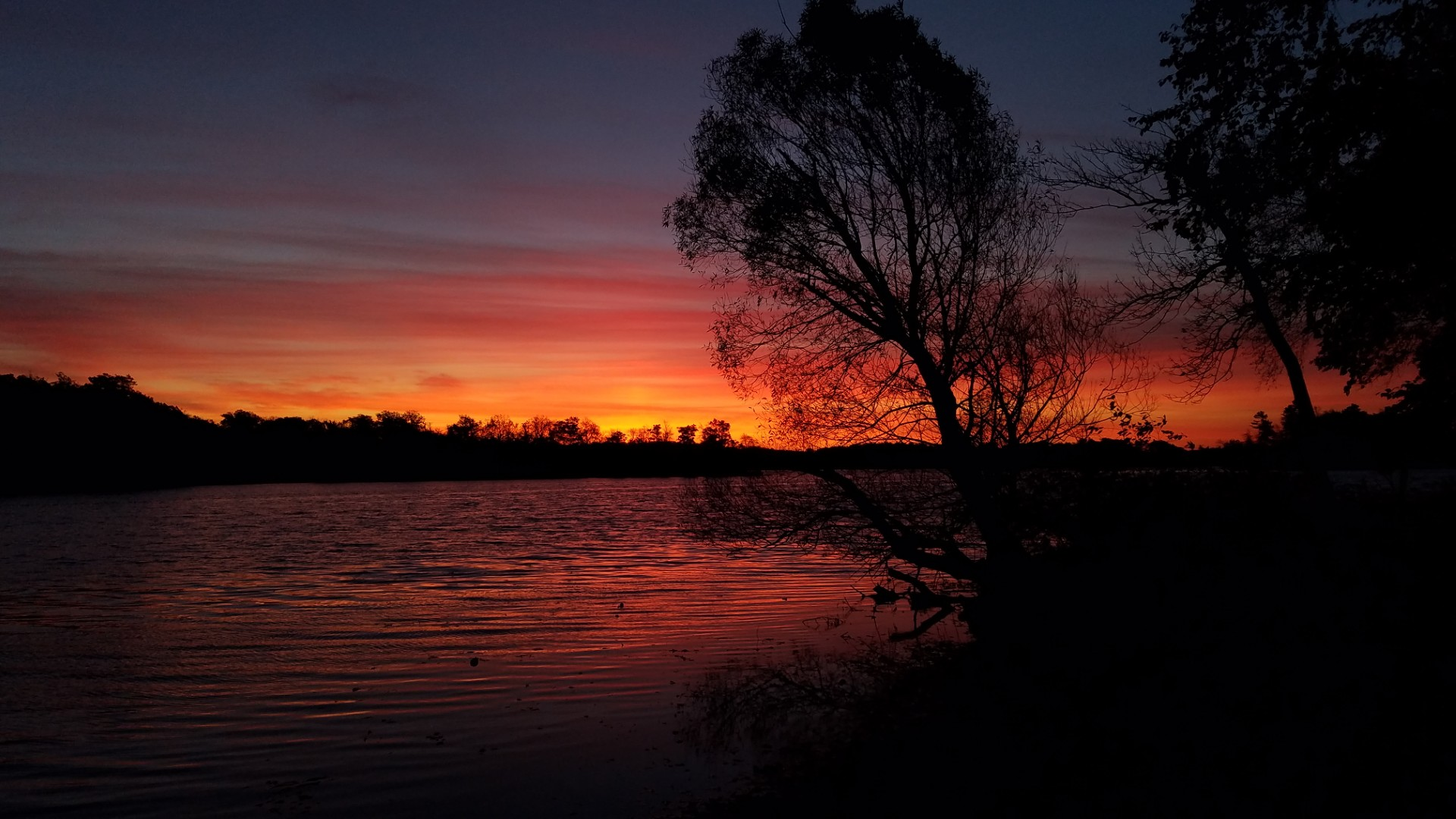 Encountering Beauty