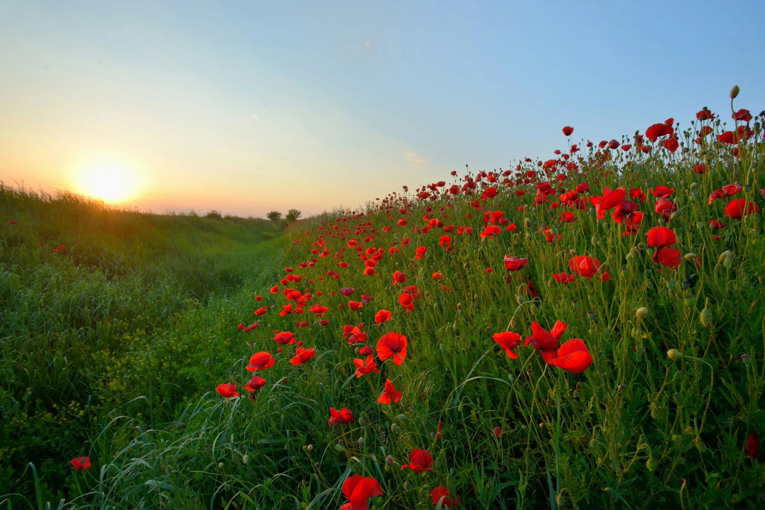 When a long weekend doesn’t feel light: Memorial Day and mixed emotions