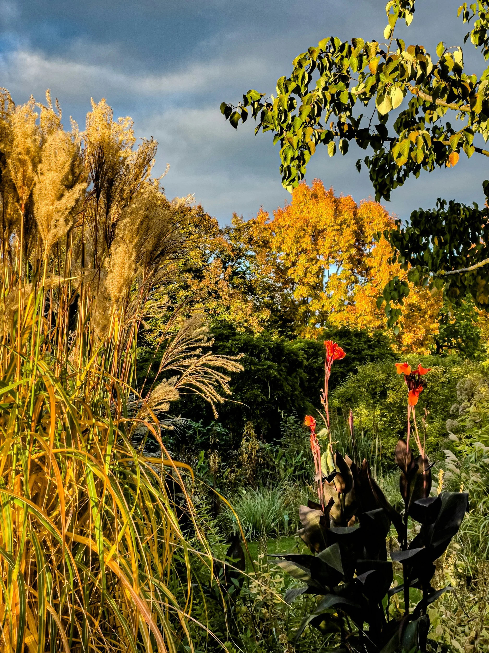 What the Garden Knows About Healing: Growth Isn’t Linear