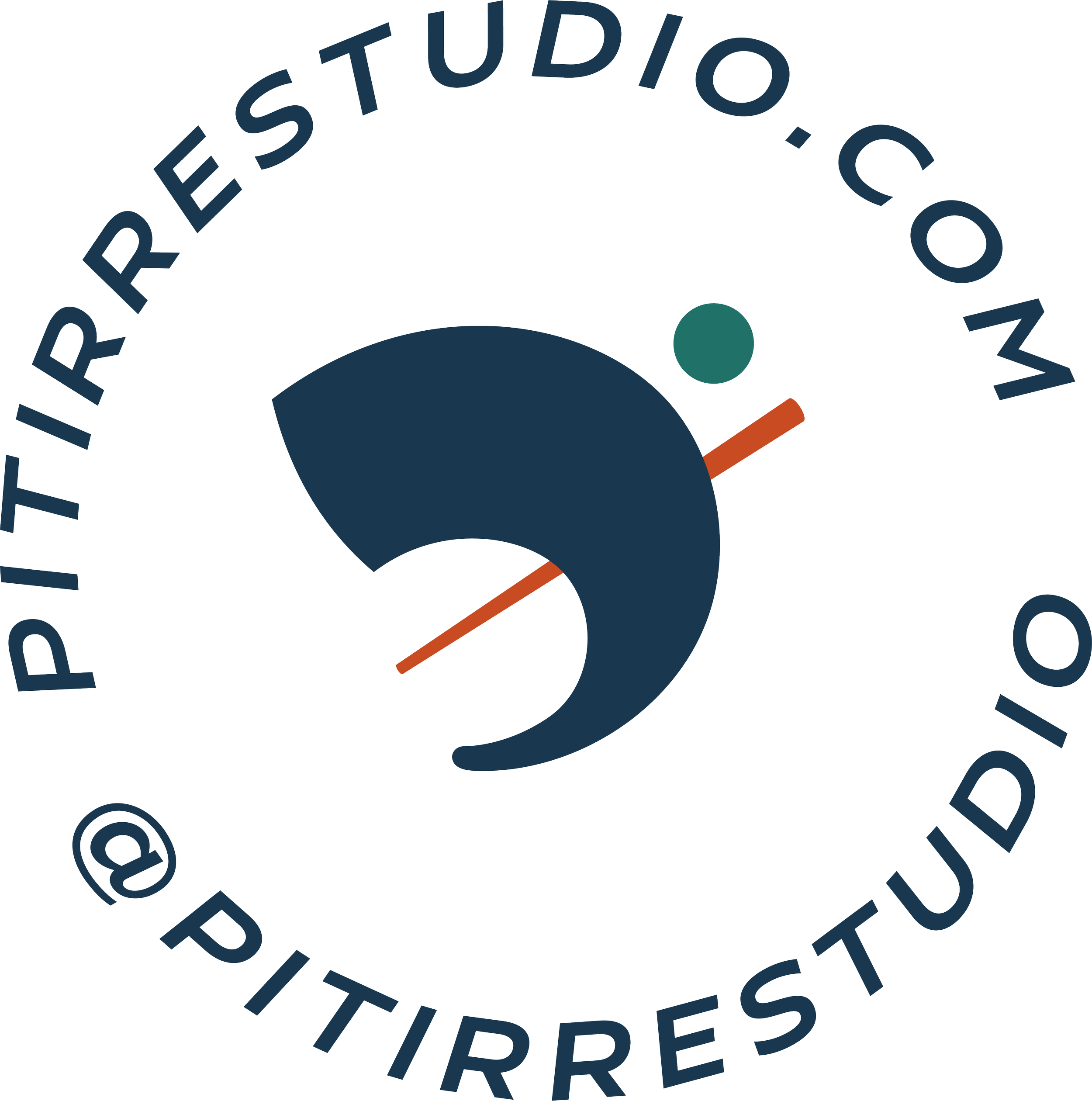 Pitirre Studio