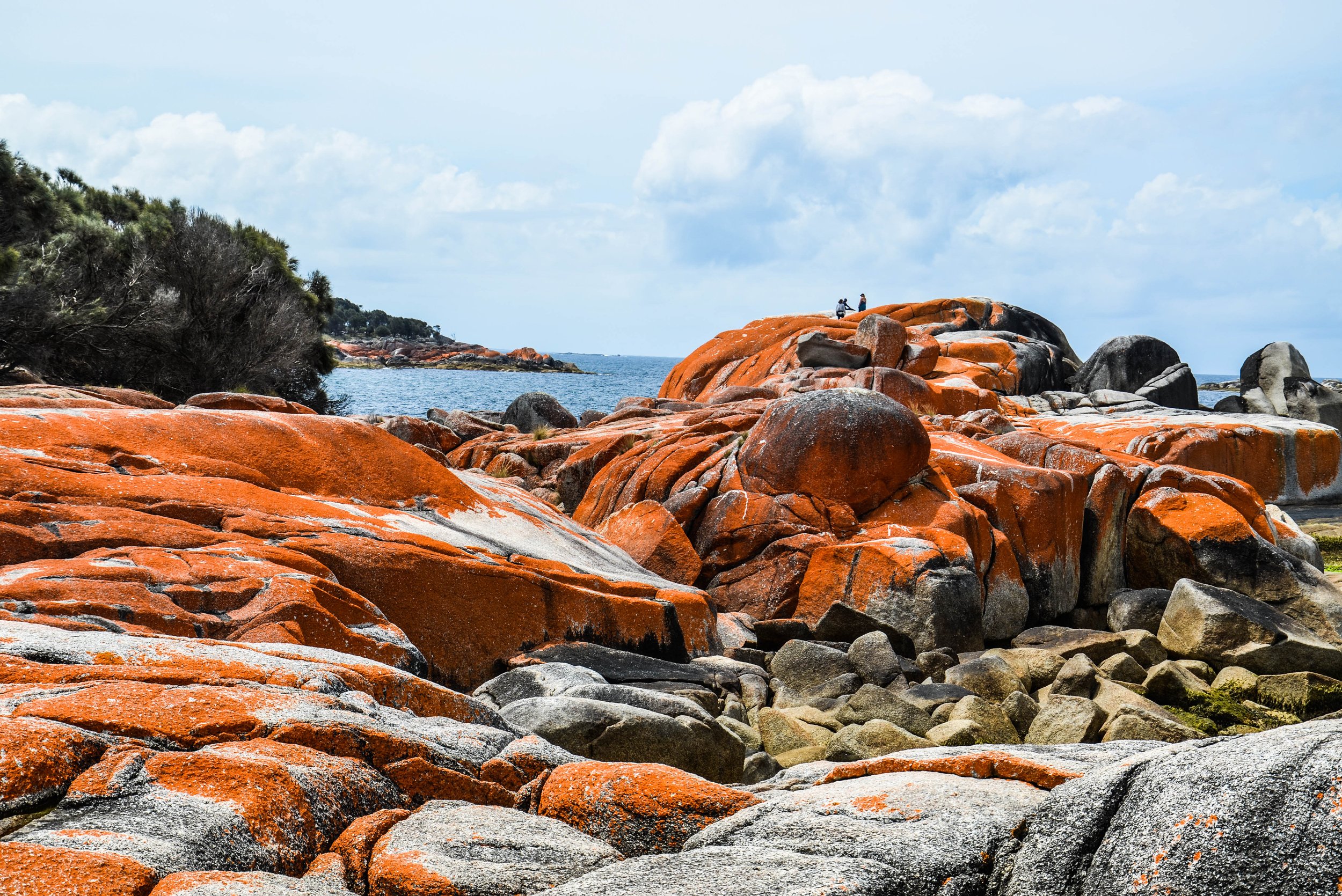 dsc_0310-4.jpeg