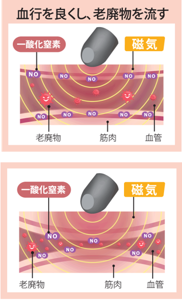 ReGene 光感循活煥肌