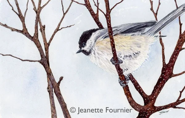 "Stick Season I" - original watercolor 
$400.00
5" h x 8" w
Available at:  Copley Society of Art, Boston, MA
Limited Edition Prints Available