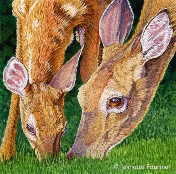 Learning Curve - Original Art by Jeanette Fournier