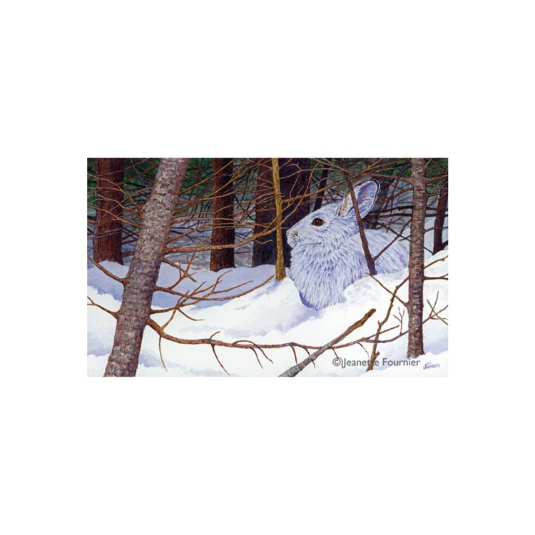 Snowed In.jpg