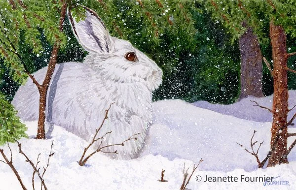 "Snow Day" - original watercolor
$380.00
5" h x 8" w

Limited Edition Prints Available