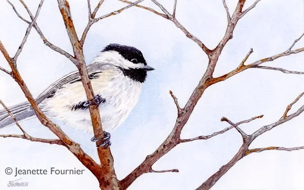 "Stick Season II" - original watercolor 
$400.00
5" h x 8" w

Limited Edition Prints Available