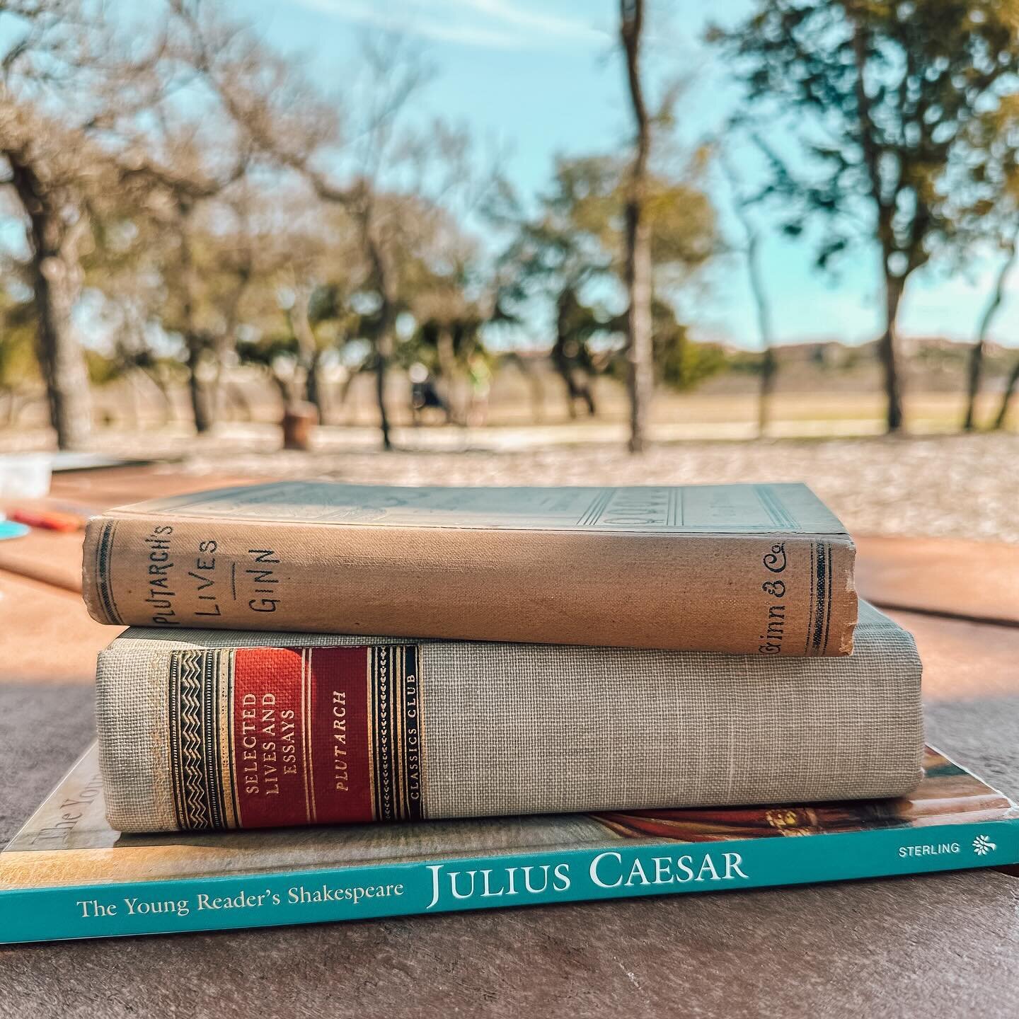 Plutarch in the park. 

Thanks to some friends, the older kids are starting their Plutarch conversation to go along with our Julius Caesar Shakespeare spring play.

#everydayatxfamily #homeschooling #educationfeast #1000hoursoutside #charlottemasoned