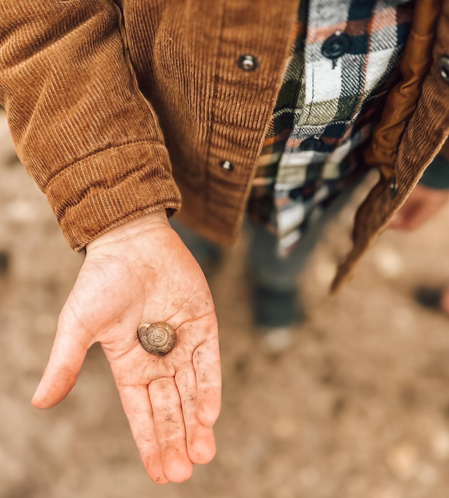 &ldquo;There&rsquo;s treasure everywhere!&rdquo; 
- Calvin (Bill Watterson)

We do more laundry than I would want to, but to have days where you get to dig in and immerse yourself in nature, to wonder, and skate in mud is totally worth the extra load