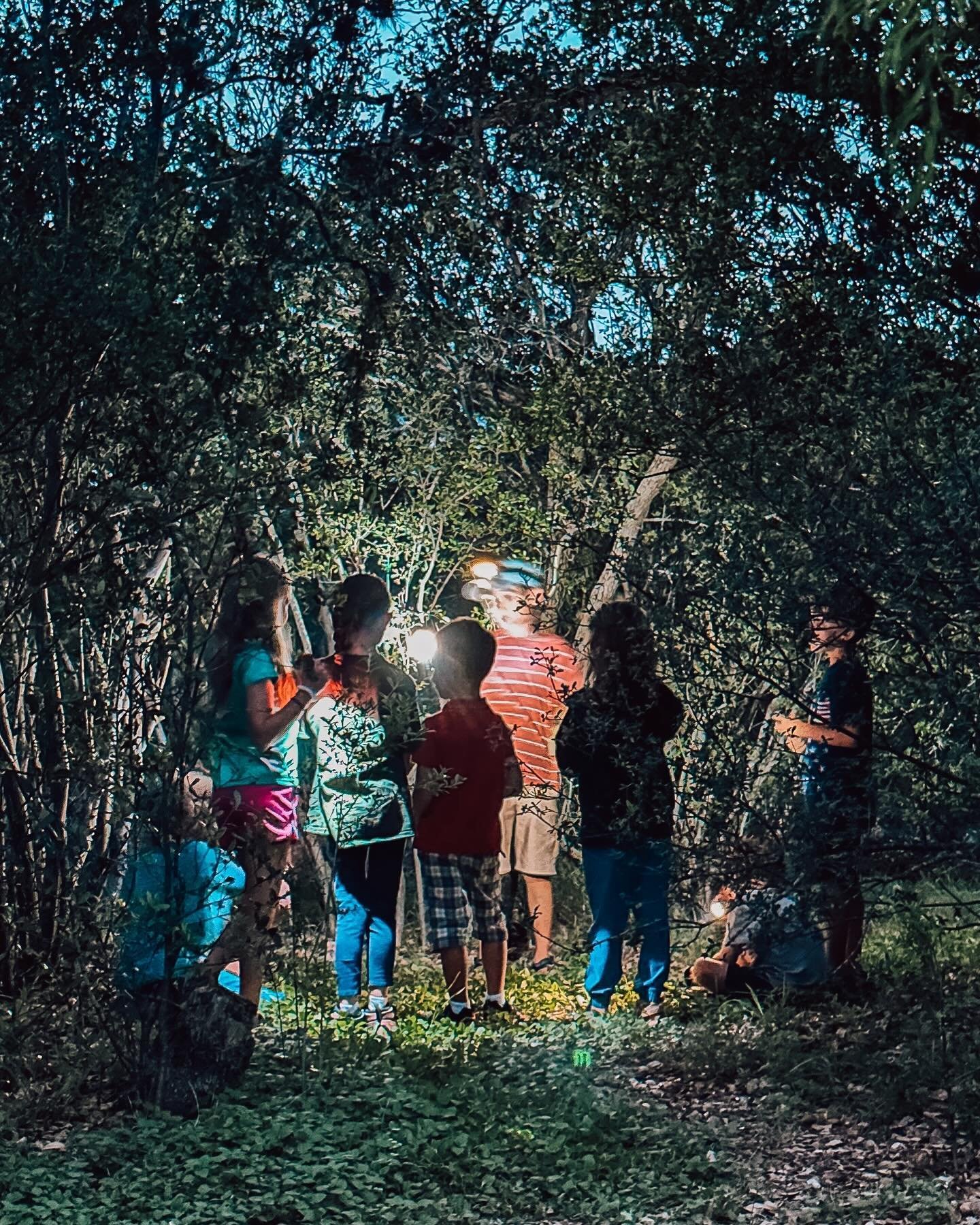Childhood magic and secret clubhouse meetings under the moonlight are where friendships are forged and adventure takes flight! ⛺🔦

#everydayatxfamily #1000hoursoutside #camping #naturestudy #childhood #makingmemories #texastodo #betteroutside #texas