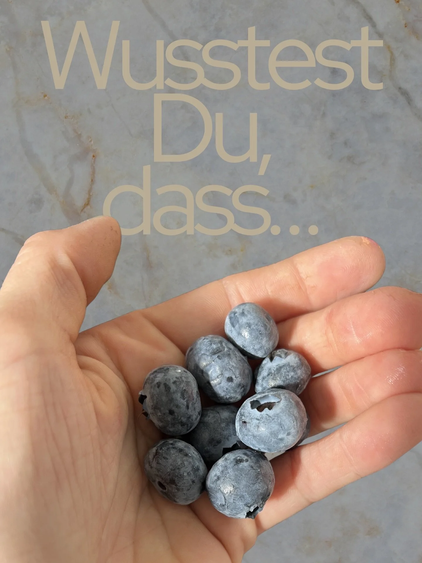 Wusstest Du, dass die Heidelbeere eine richtige Power Beere ist?

WARUM? Swipe 😎
#heidelbeere #kosmetikstudio #hagen #kosmetikerin