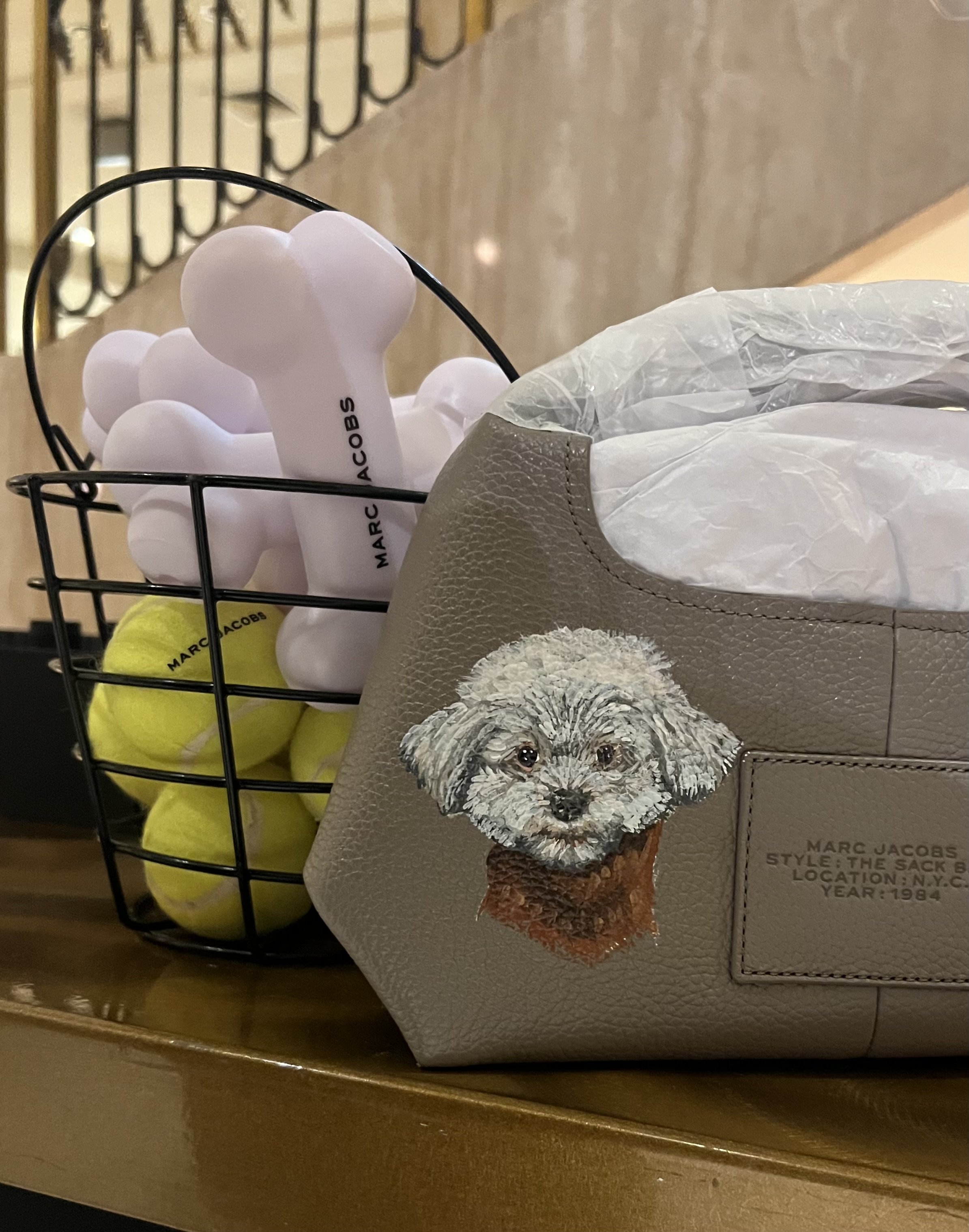 painted-portrait-of-bichon-on-tan-marc-jacobs-purse-holt-renfrew-ottawa-pop-up.jpeg
