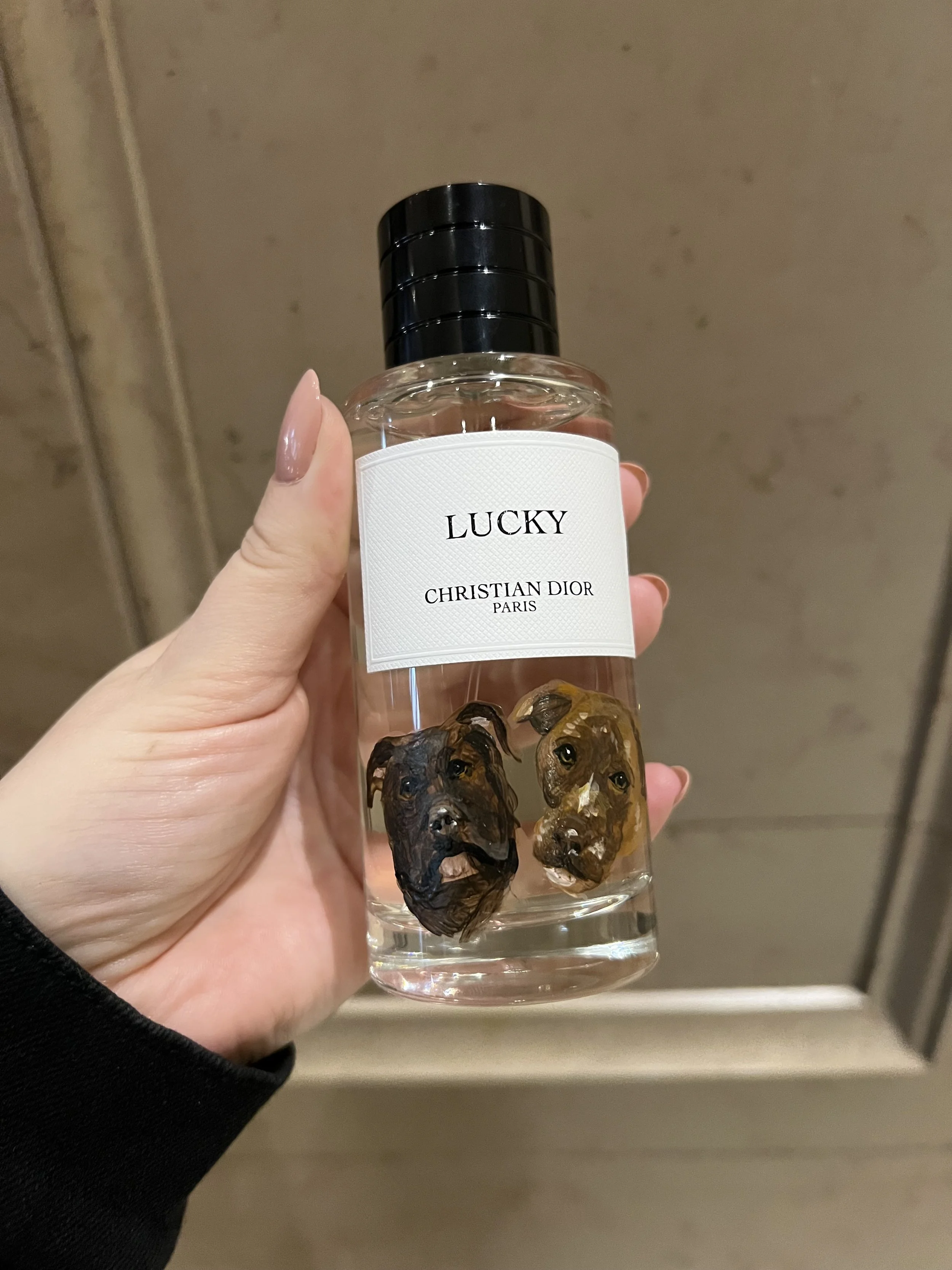 pet-dog-faces-painted-on-christian-dior-fragrance.jpeg