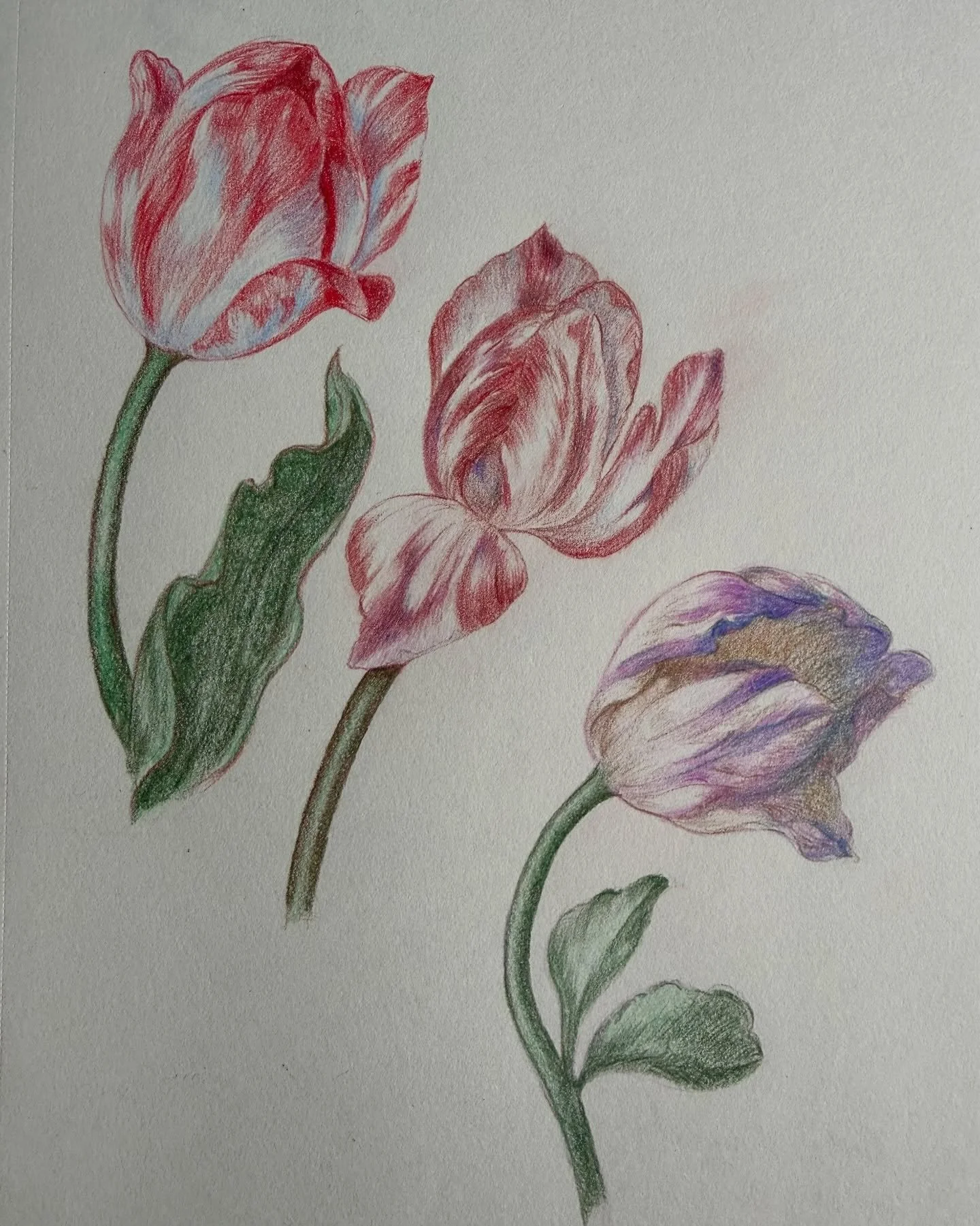 A peek into my January 2026. An intentionally slow start to the year amid the horrors.

Aside from simply surviving the longest and coldest month of the year, I was busy behind the scenes working on a few things that will hopefully be glimmers for so