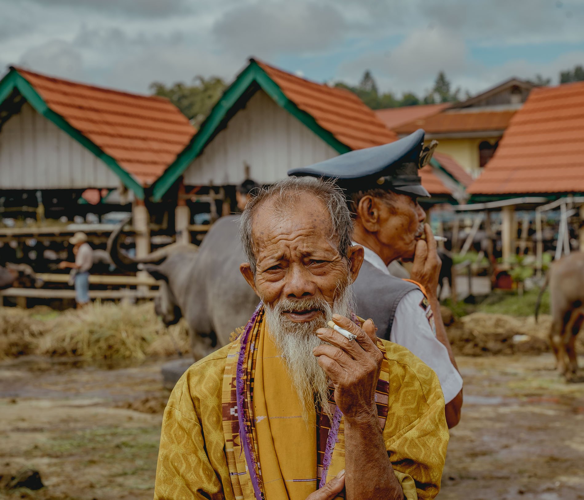 Sumptuous Buffalo in Toraja