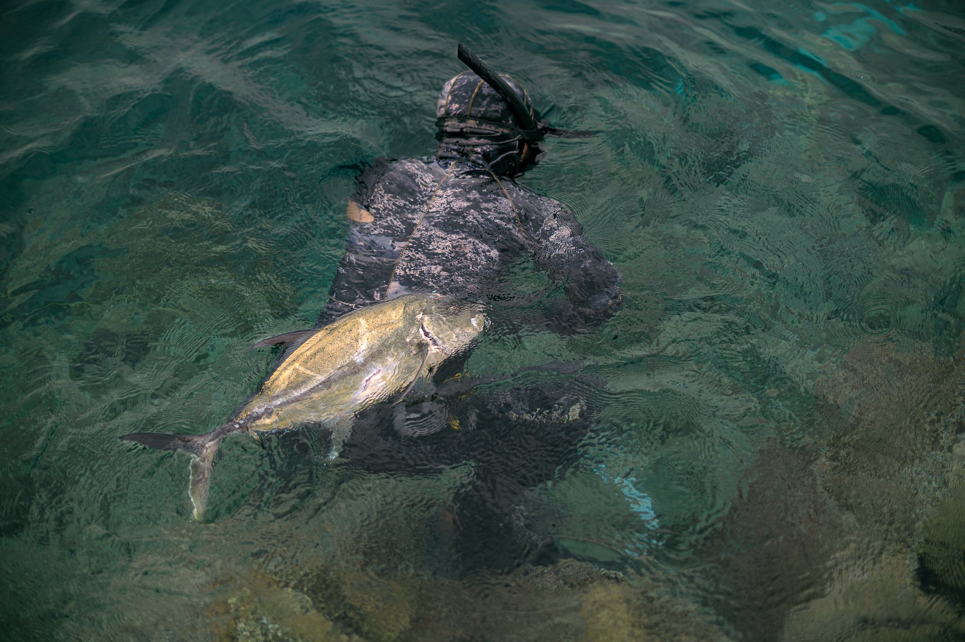 Ternate's Spearfisherman
