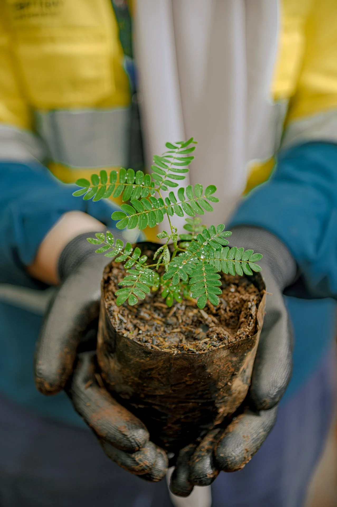 SCM_MERDEKA BATTERY MATERIALS 2025_HAFITZMAULANA (34 of 358).jpg