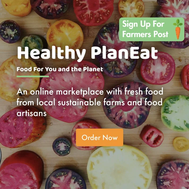 HEALTHYPLANEAT2.jpg