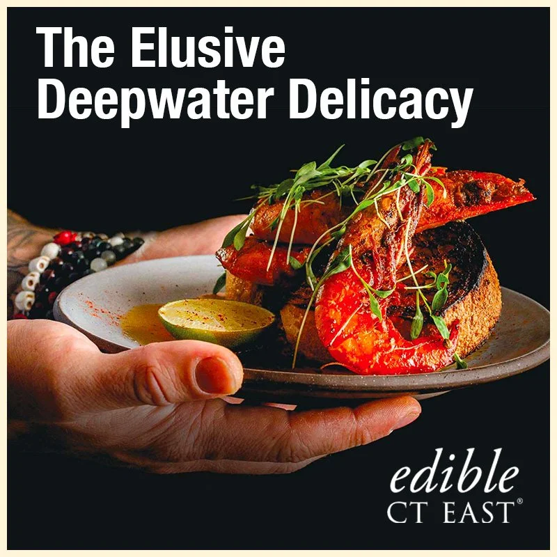 Stonington Red Shrimp