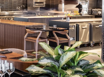 A view of the restaurant kitchen and a chef's table from the dining room with a green plant in the forefront