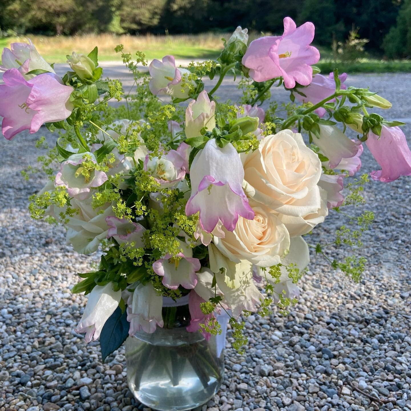 Jar of summery soft colors: lavender Canterbury Bells, lime green Lady&rsquo;s Mantle, and white roses. #informalflowers, #gardenstyleliving #gardenparty #westportct #203 #localflorist #fairfieldcounty #westportfloraldesigner #westportmoms #ctbride #