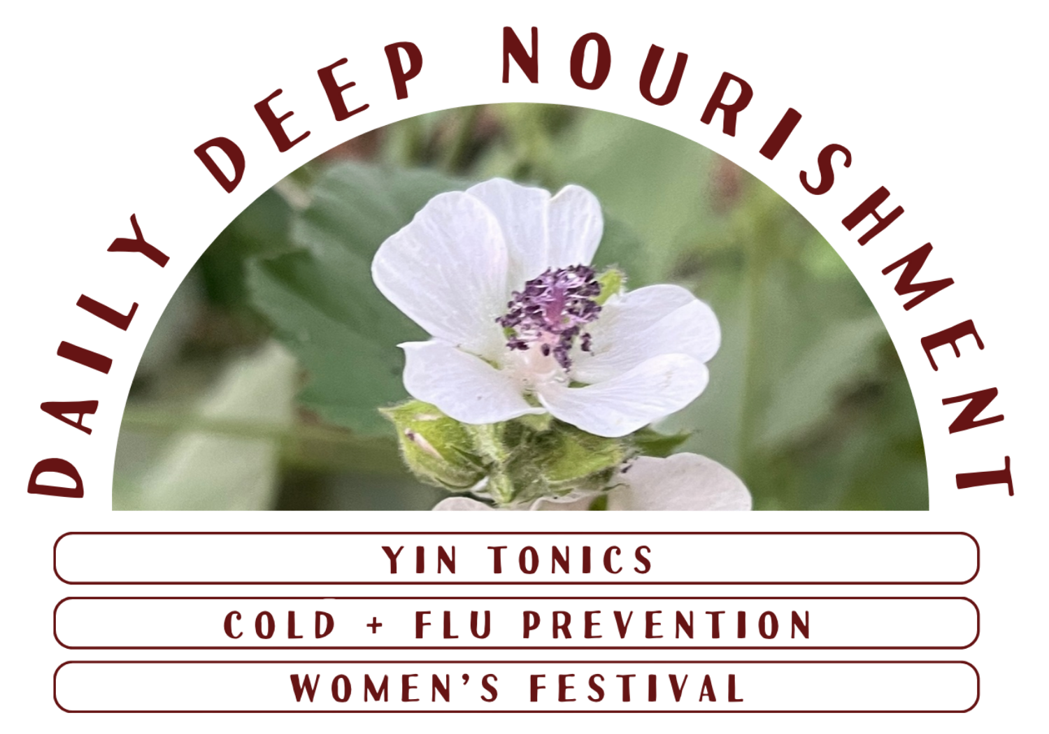 Daily Deep Nourishment - August Newsletter