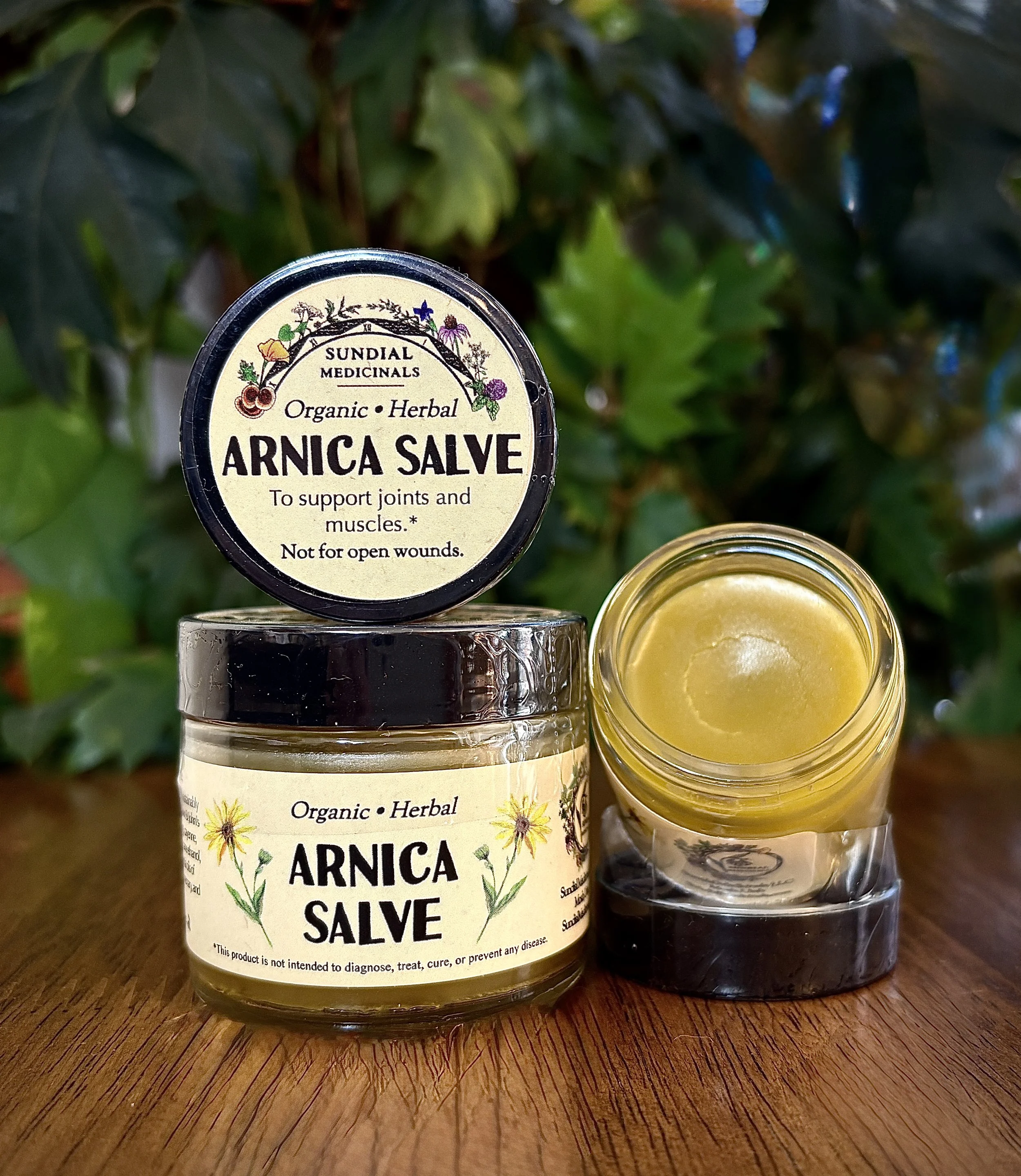 Arnica Salve