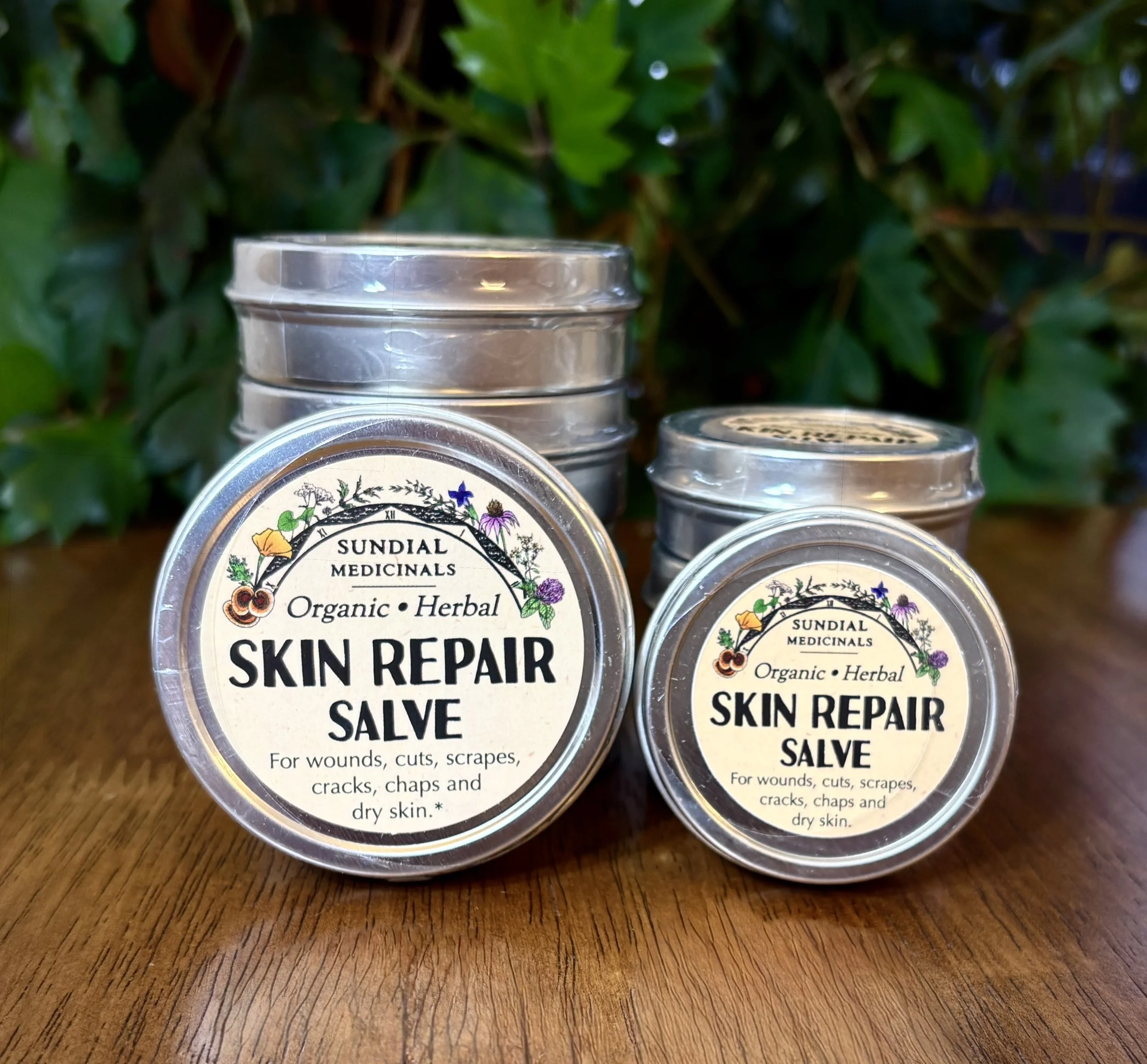 Skin Repair Salve