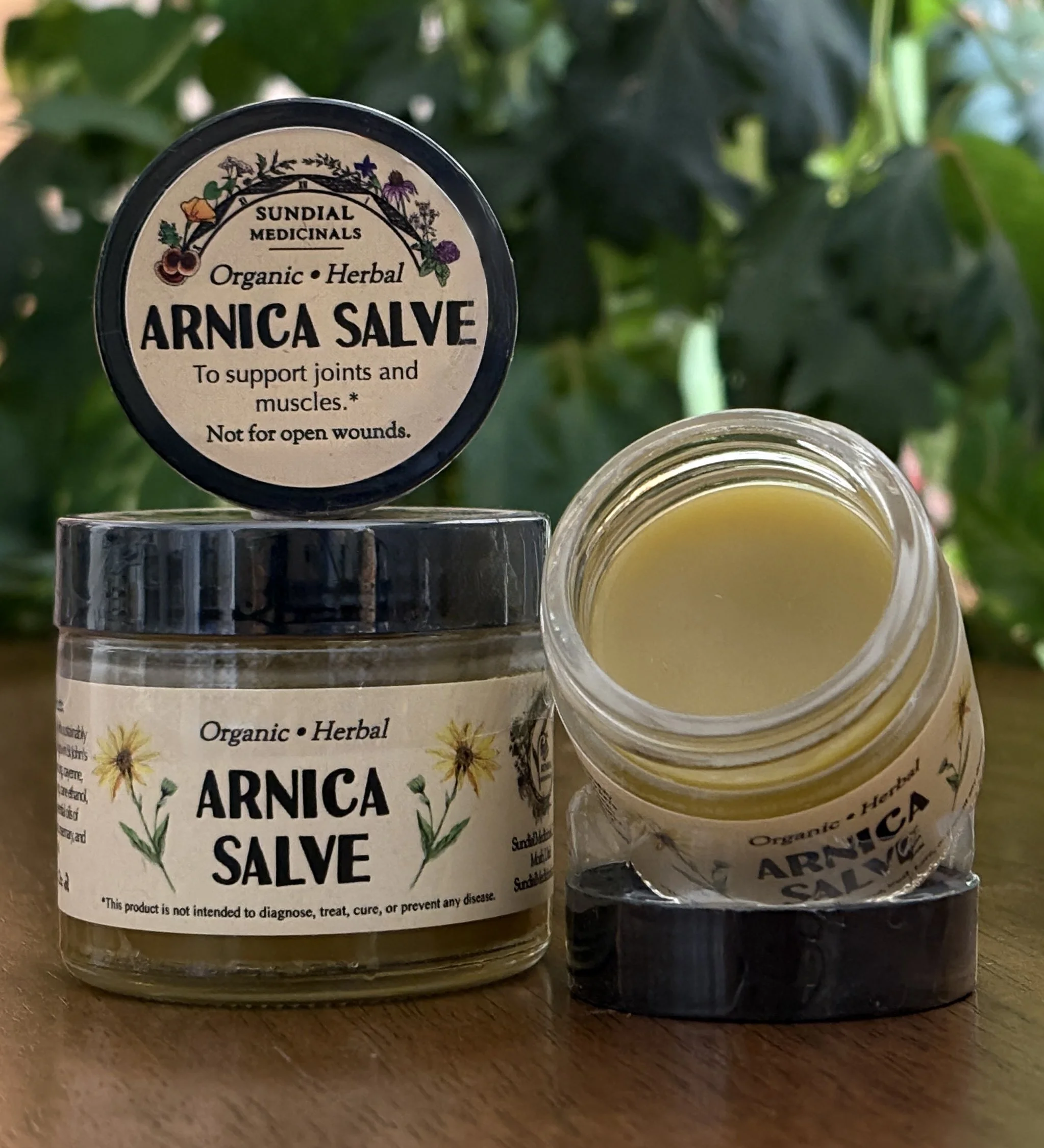 Arnica Salve